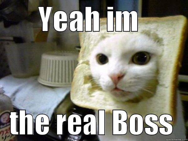 YEAH IM  THE REAL BOSS Misc