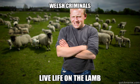 welsh criminals live life on the lamb  