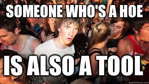 Someone who's a hoe Is also a tool  Sudden Clarity Clarence