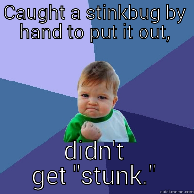 CAUGHT A STINKBUG BY HAND TO PUT IT OUT, DIDN'T GET 