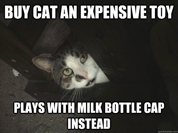 Buy cat an expensive toy Plays with milk bottle cap instead  Scumbag Cat