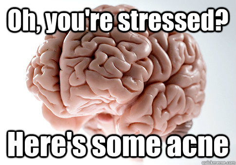 Oh, you're stressed? Here's some acne  Scumbag Brain