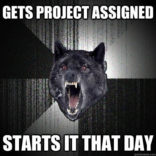 Gets project assigned Starts it that day  Insanity Wolf