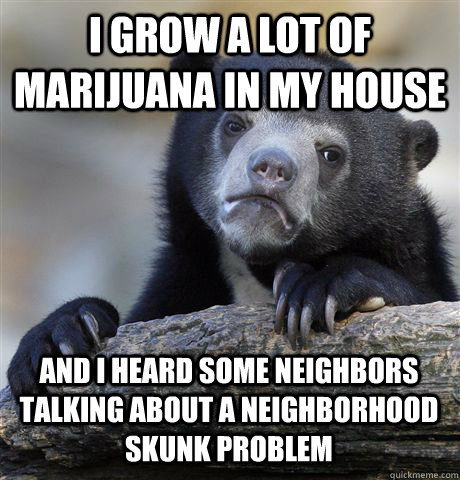 I GROW A LOT OF MARIJUANA IN MY HOUSE AND I HEARD SOME NEIGHBORS TALKING ABOUT A NEIGHBORHOOD SKUNK PROBLEM  Confession Bear