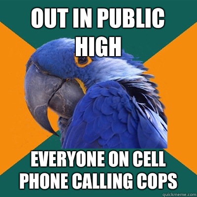 Out in public high Everyone on cell phone calling cops  Paranoid Parrot