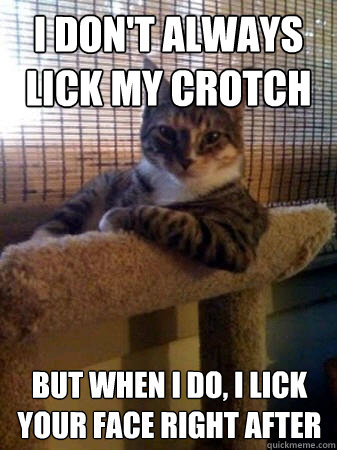 I don't always lick my crotch but when I do, I lick your face right after  The Most Interesting Cat in the World