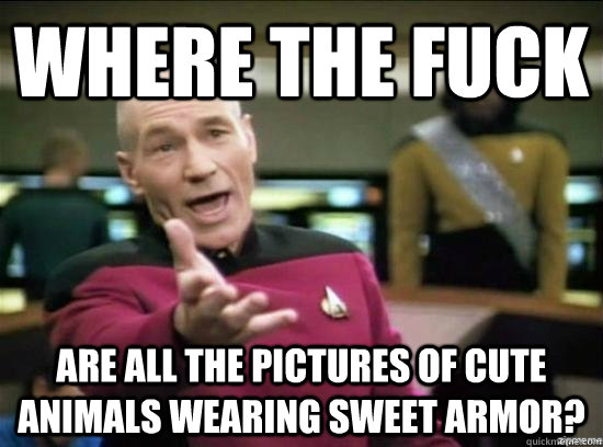 Where the fuck are all the pictures of cute animals wearing sweet armor?  Annoyed Picard HD
