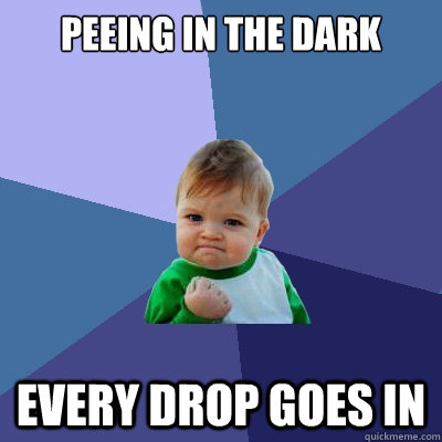 Peeing in the dark every drop goes in  Success Kid