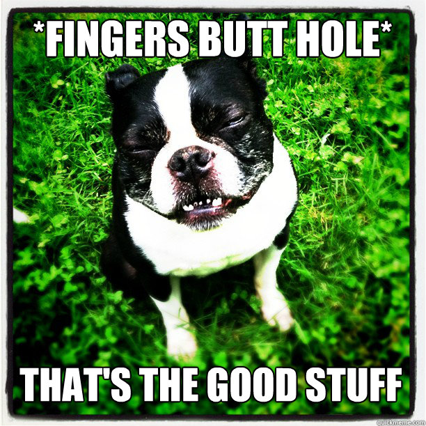 *Fingers Butt hole* That's The Good Stuff - *Fingers Butt hole* That's The Good Stuff  Pleasure Pup