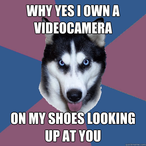 Why yes I own a videocamera On my shoes looking up at you  Creeper Canine