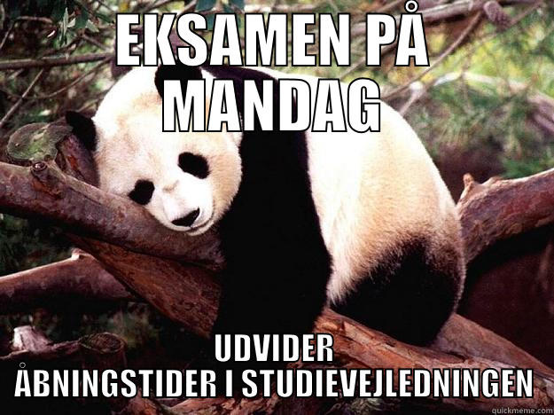 EKSAMEN PÅ MANDAG UDVIDER ÅBNINGSTIDER I STUDIEVEJLEDNINGEN Procrastination Panda