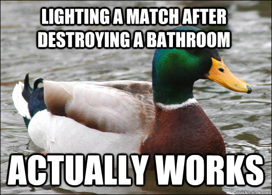 Lighting a match after destroying a bathroom Actually works  Actual Advice Mallard