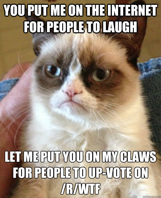 you put me on the internet for people to laugh Let me put you on my claws for people to up-vote on /r/WTF  Grumpy Cat