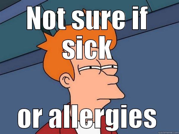 NOT SURE IF SICK OR ALLERGIES Futurama Fry