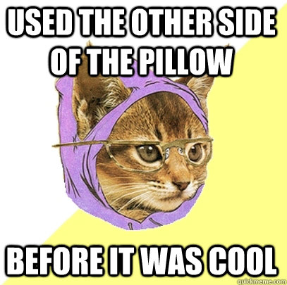 Used the other side of the pillow before it was cool  Hipster Kitty