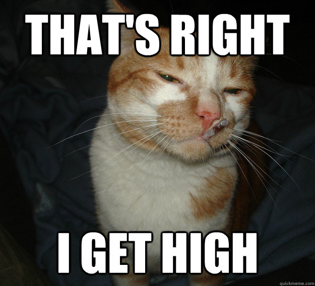 That's right I get high  Cool Cat Craig