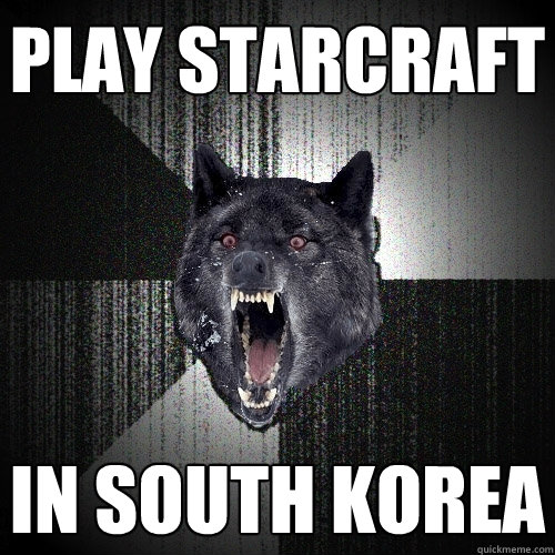 Play Starcraft in South Korea  Insanity Wolf