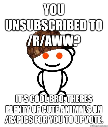 you unsubscribed to /r/aww? it's cool bro, theres plenty of cute animals on /r/pics for you to upvote.  Scumbag Redditor