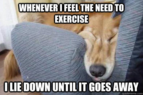 Whenever I feel the need to exercise I lie down until it goes away  Too lazy to exercise
