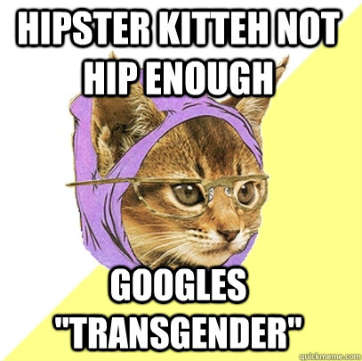 hipster kitteh not hip enough googles 