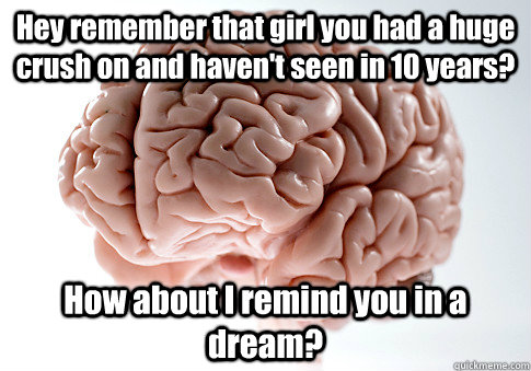 Hey remember that girl you had a huge crush on and haven't seen in 10 years? How about I remind you in a dream?   Scumbag Brain