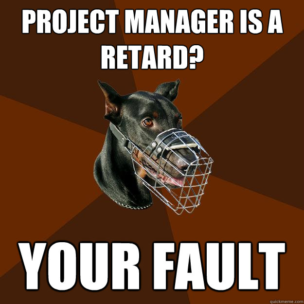 PROJECT MANAGER IS A RETARD? YOUR FAULT - PROJECT MANAGER IS A RETARD? YOUR FAULT  Developer Doberman