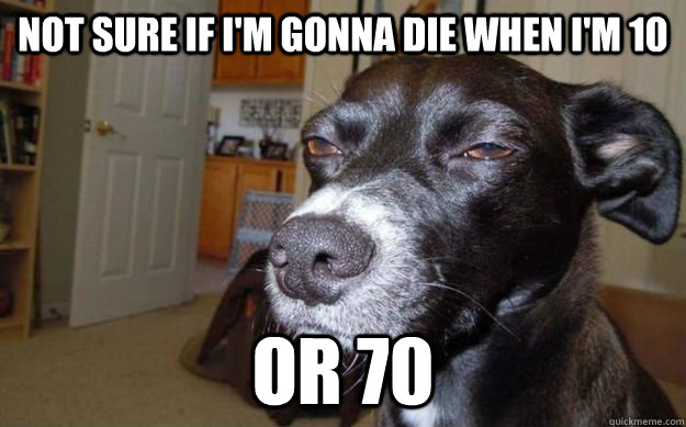 not sure if I'm gonna die when I'm 10 or 70 - not sure if I'm gonna die when I'm 10 or 70  Skeptical Mutt