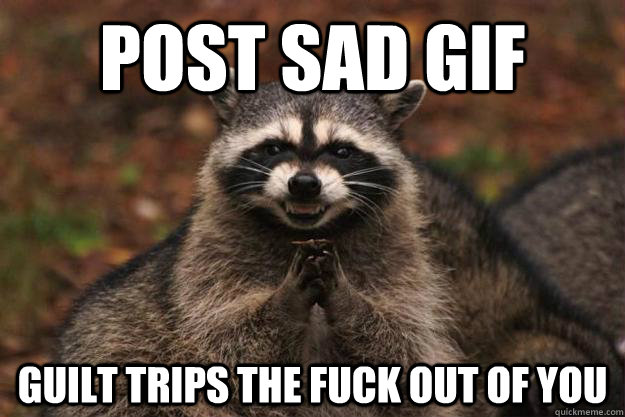 post sad gif guilt trips the fuck out of you  Evil Plotting Raccoon