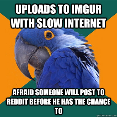 Uploads to imgur with slow internet afraid someone will post to reddit before he has the chance to  Paranoid Parrot