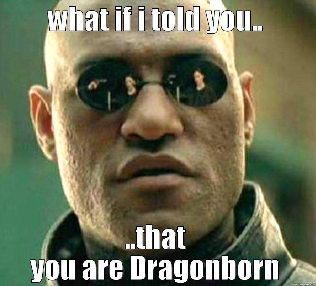 WHAT IF I TOLD YOU.. ..THAT YOU ARE DRAGONBORN Misc