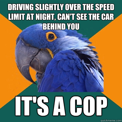driving slightly over the speed limit at night, can't see the car behind you it's a cop  Paranoid Parrot