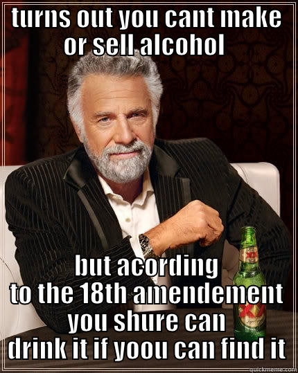 18th amendment - TURNS OUT YOU CANT MAKE OR SELL ALCOHOL  BUT ACORDING TO THE 18TH AMENDEMENT YOU SHURE CAN DRINK IT IF YOOU CAN FIND IT The Most Interesting Man In The World