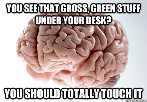 You see that gross, green stuff under your desk? You should totally touch it  Scumbag Brain
