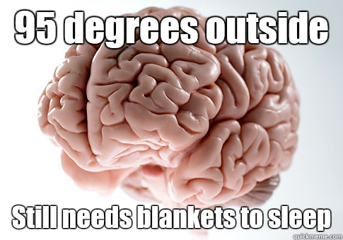95 degrees outside Still needs blankets to sleep  Scumbag Brain