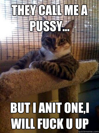 they call me a pussy... but i anit one,i will fuck u up  The Most Interesting Cat in the World