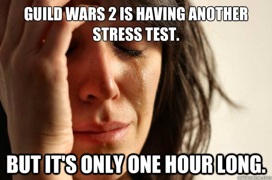 Guild Wars 2 is having another stress test. But it's only one hour long.  First World Problems