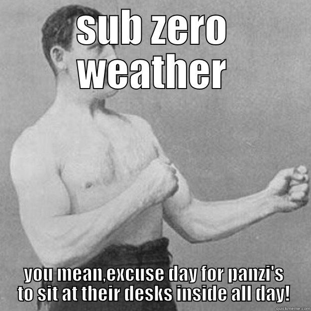 SUB ZERO WEATHER YOU MEAN,EXCUSE DAY FOR PANZI'S TO SIT AT THEIR DESKS INSIDE ALL DAY! overly manly man