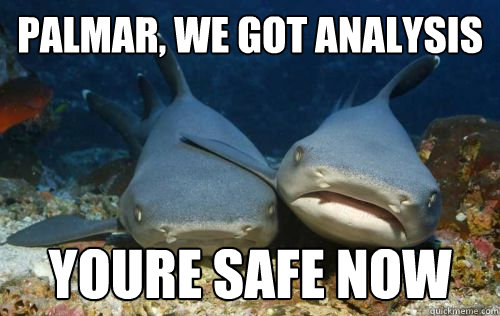 palmar, we got analysis youre safe now  Compassionate Shark Friend