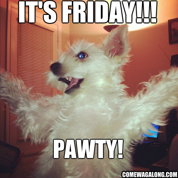It's Friday!!! Pawty! ComeWagAlong.com  TGIF - Dog Style