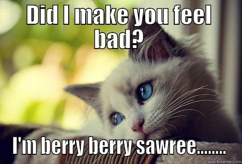 DID I MAKE YOU FEEL BAD? I'M BERRY BERRY SAWREE........ First World Problems Cat