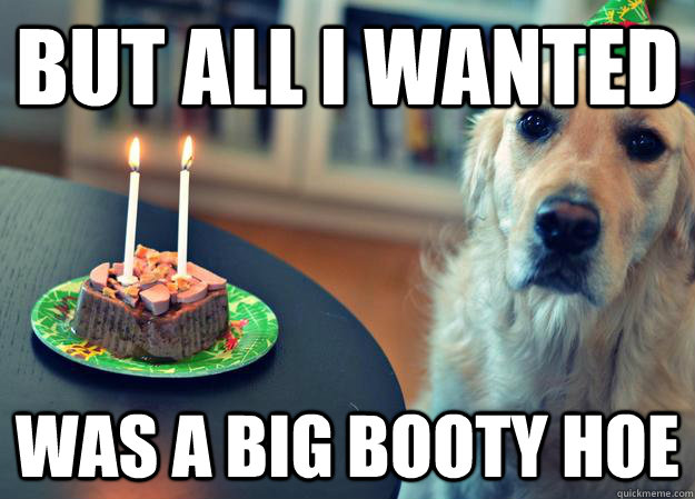 But All I wanted  was a big booty hoe  Sad Birthday Dog