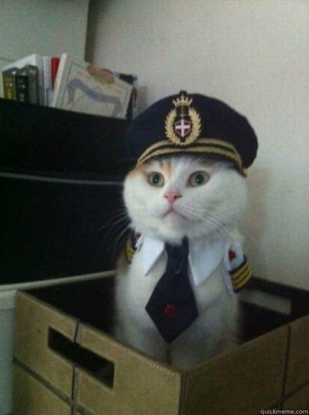    Captain kitteh