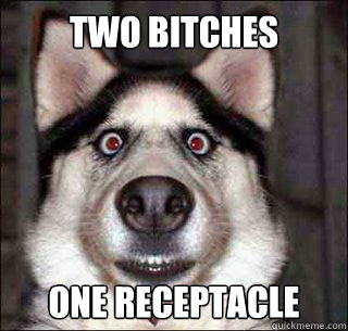 Two bitches  One receptacle  