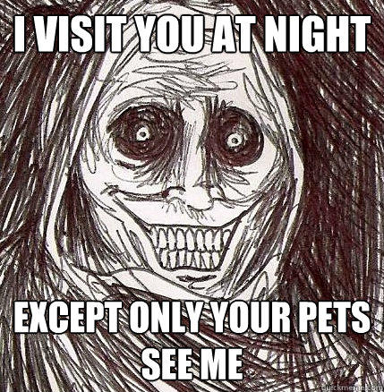 I visit you at night Except only your pets see me  