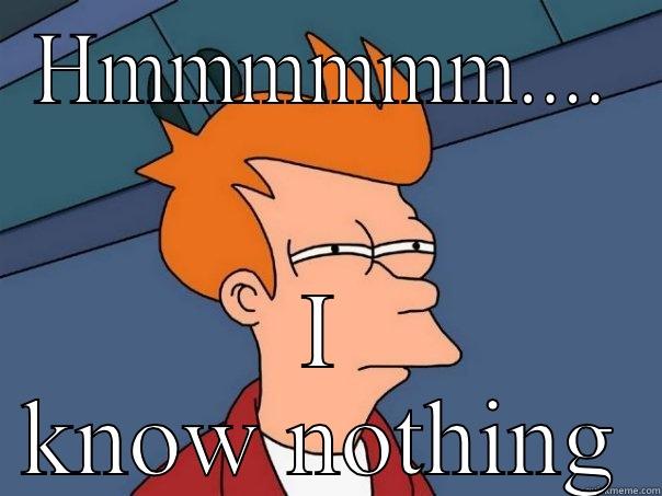 Hmmmmmmmm...nothing  - HMMMMMM.... I KNOW NOTHING Futurama Fry