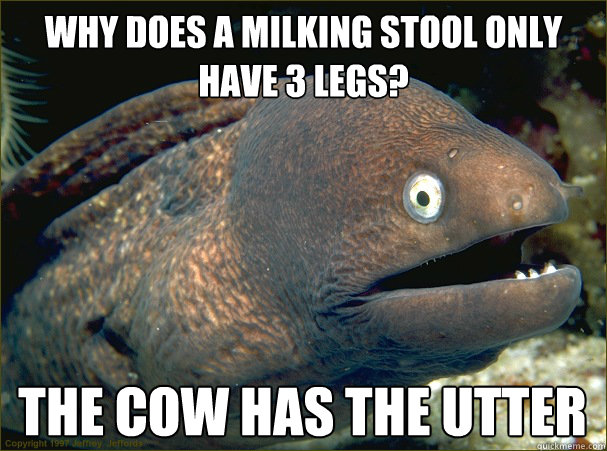why does a milking stool only have 3 legs? The cow has the utter - why does a milking stool only have 3 legs? The cow has the utter  Bad Joke Eel