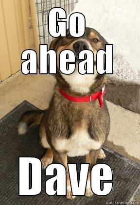 GO AHEAD DAVE Good Dog Greg
