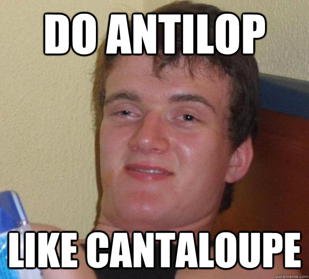 Do antilop  like cantaloupe  10 Guy