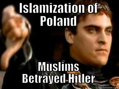 ISLAMIZATION OF POLAND MUSLIMS BETRAYED HITLER Downvoting Roman