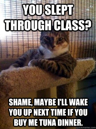 You slept through class? Shame, maybe I'll wake you up next time if you buy me tuna dinner.  The Most Interesting Cat in the World